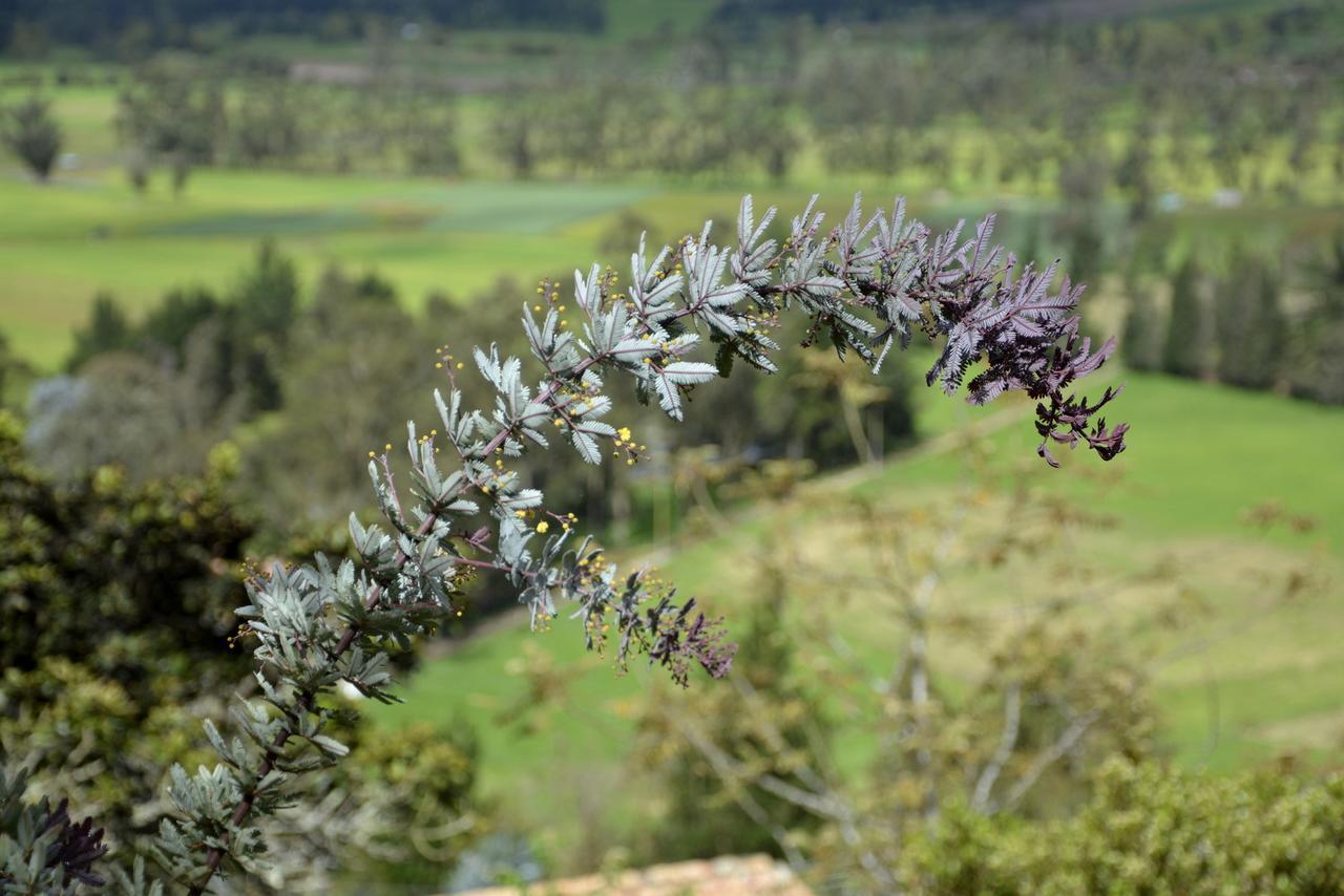 לינה וארוחת בוקר El Pedregal Sopó מראה חיצוני תמונה